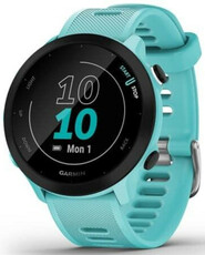 Garmin Forerunner 55 Blue